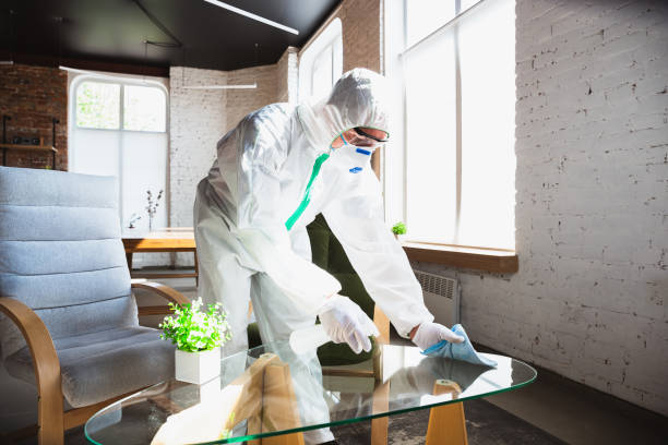 Why You Should Choose Our Mold Remediation Services in Conway, PA